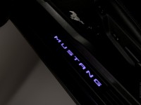 Ford Mustang 2009 photo